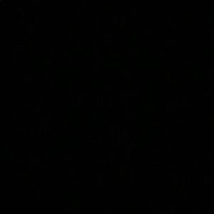 Meet your Posher, Sayo